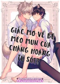 giac-mo-ve-be-meo-mun-cua-chang-hoang-tu-soi-.jpg